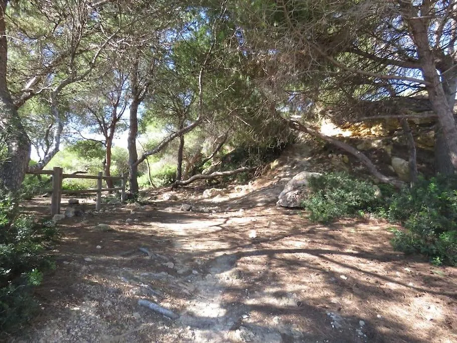 Coqueto Alojamiento Con Banera De Hidromasaje Apartamento Tarragona 0*,  España